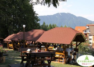 priveliste frumoasa din foisoarele Evergreen