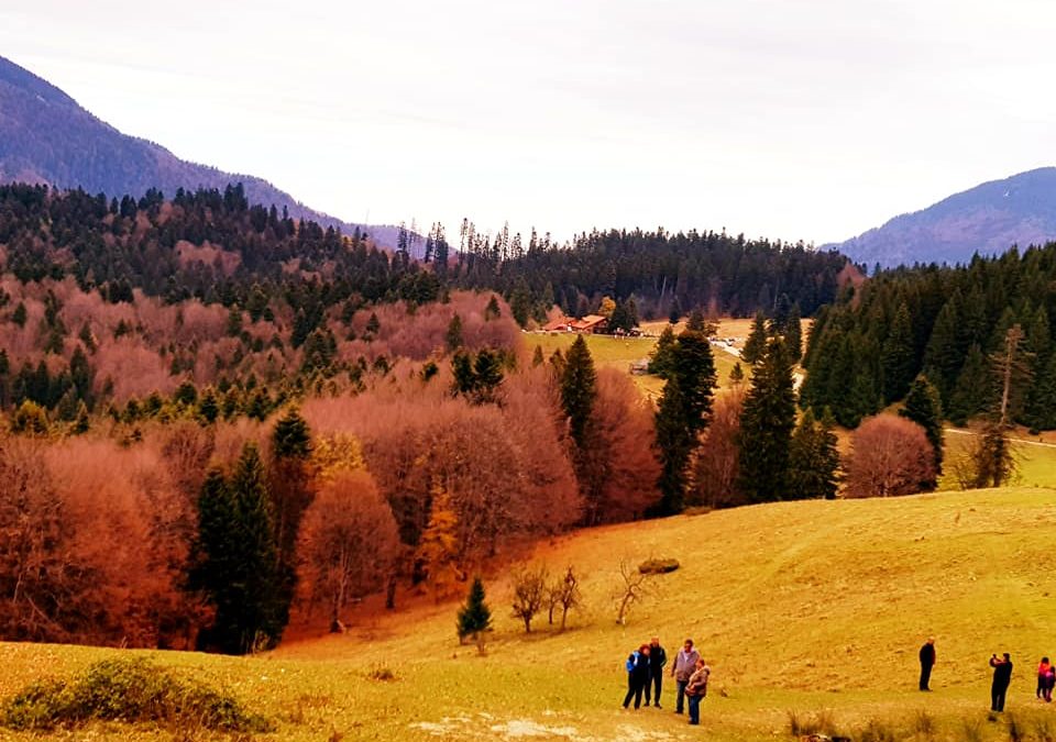 Toamna la munte