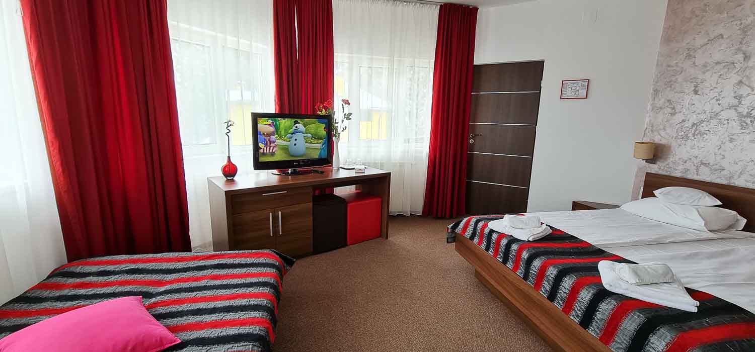 Camera cu canapea extensibila