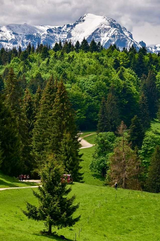 carare_Predeal Predeal_partia+clabucet