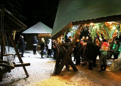 Curtea Vilei Evergreen iarna, de sarbatori