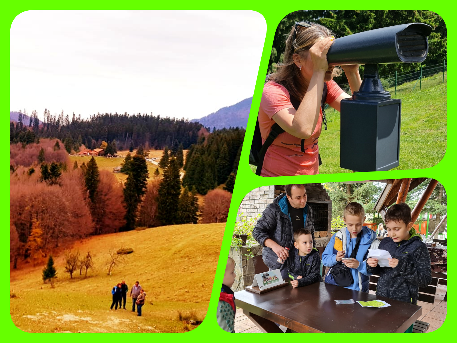 Treasure Hunt Trei Brazi