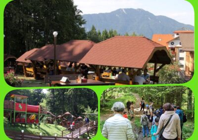 collage Terasa Evergreen, excursie, trenulet
