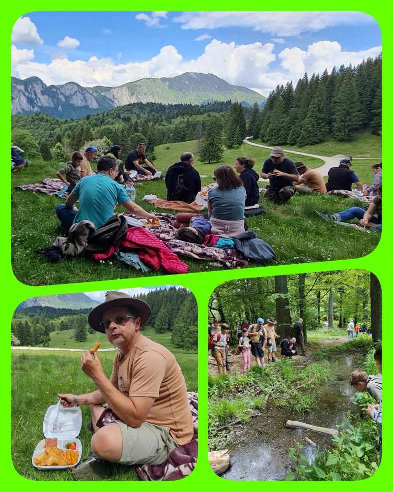 Picnic excursie Predeal